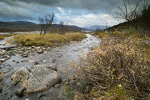 Northern Europe Prints: Tributary leading to lake at dawn, Lake Galggojarvi, Lapland, North Norway, September