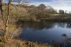 L Imestone Prints: Turlough (seasonal lake), only turlough in mainland Britain