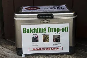 Conserves Prints: Turtle conservation, Hatchling Drop-off container for rescued sea turtle hatchlings