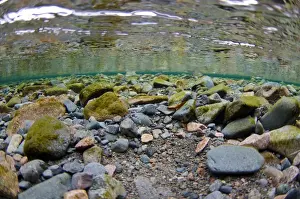 Glacial Prints: Underwater view of stony riverbed in river flowing into glacial lake