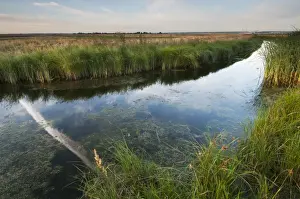 Trail Prints: Vapour trail reflected in flooded ditch on coastal grazing marsh habitat