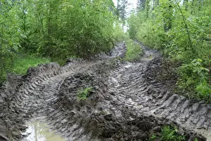 Site Prints: Vehicle tracks in woodland, disturbance to World War One battlefield caused by tree extraction