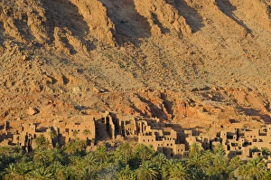 View of abandoned buildings in desert oasis, Tinerhir, Ouarzazate, Morocco, january