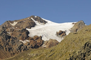 Alpine Prints: View of alpine glacier, Vederetta de la Mare, Stelvio N. P. Italian Alps, Italy, August