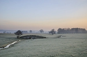 Sunrise Prints: View of arched bridge over beck flowing through parkland at dawn