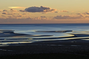 Tide Prints: View across bay with channels in sand