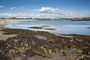 Coast Line Prints: View of beach and coastline, Borthwen, Cymyran Bay, Anglesey, North Wales, august