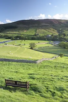 Seats Prints: View of bench, drystone walls and sheep grazing in pasture of valley