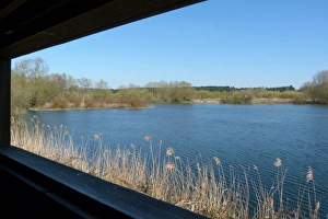 Gravel Prints: View from Bills Hide at Lackford Lakes Nature Reserve, looking north over Reed