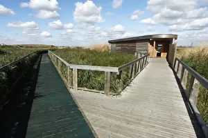 Boardwalks Prints: View of boardwalk and birdwatching hide in marshland habitat