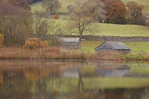 View of boathouse beside lake in autumn, Esthwaite Water, Lake District, Cumbria, England, October