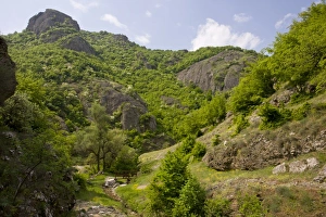 Eastern Prints: View of botanically-rich protected area