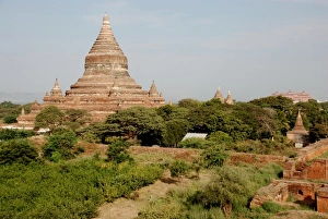 Religions Prints: View of Buddhist temple, Gubyaukgyi Temple, Bagan, Mandalay Region, Myanmar, January