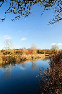 Water Ways Prints: View along canal, Tiverton Canal, Grand Western Canal, Tiverton, Devon, England, november
