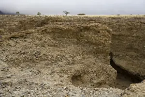 Erosion Prints: View of canyon formed by ephemeral stream in sedimentary rock