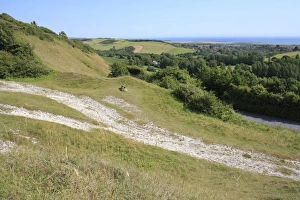 Landscape Prints: View over chalk downland habitat, Brighstone Down, Isle of Wight, England, june