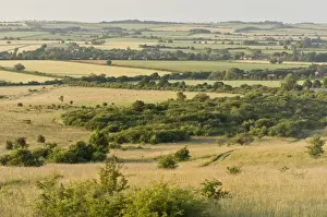 Downlands Prints: View of chalk downland habitat