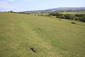 Downlands Prints: View of chalk downland reserve habitat