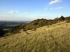 Chilterns Prints: View of chalk grassland on hillside