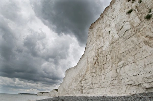 Chalk Prints: View of chalk sea cliff, Birling Gap, East Sussex, England, july