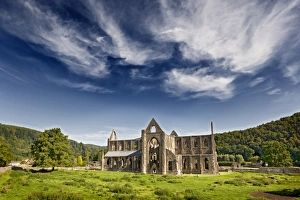 Ruined Prints: View of Cistercian abbey ruins