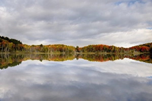 Skies Prints: View of clouds and trees in autumn colours reflected in lake
