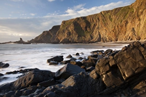 View of coastal cliff with folded strata in evening sunlight, Warren Cliff, Hartland, North Devon, England, April