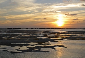 Cays Prints: View over coastal flats at sunset