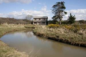 View of coastal freshwater wetland habitat, West Witterings Nature Reserve, West Wittering, Manhood Peninsula
