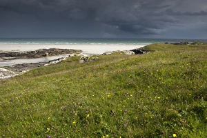 Grasslands Prints: View of coastal grassland and beach