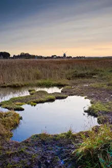 Mills Prints: View of coastal marshland habitat and distant windmill at dusk