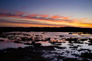 View of coastal marshland habitat and distant windmill at sunset, Cley Mill, Westbank Marsh, Cley-next-the-sea, Norfolk, England, january