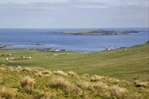 Coast Line Prints: View of coastal pasture and island