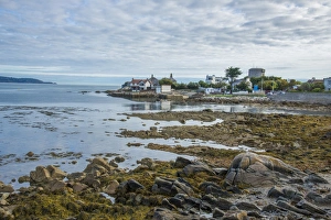 Eire Prints: View of coastal promontory and Martello tower