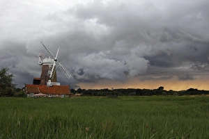 View over coastal reedbed habitat towards windmill and stormclouds, Cley Windmill, Cley Marshes, Cley-next-the-sea
