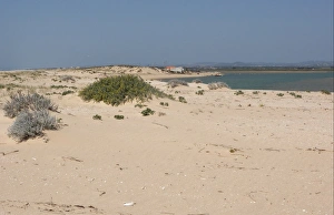 Algarve Prints: View from coastal sandspit over estuary with fishing village