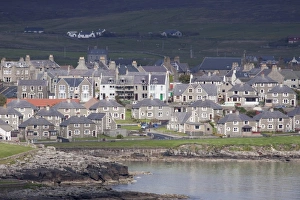 Shetland Prints: View of coastal town, Lerwick, Mainland, Shetland Islands, Scotland, May