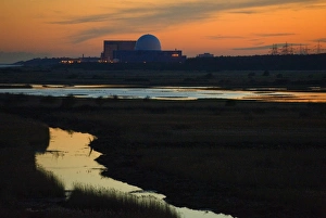 Distance Prints: View across coastal wetland habitat at dusk