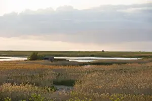 Hides Prints: View of coastal wetland habitat