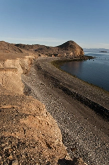 Mexican Prints: View of coastline, Bahia de los Angeles, Sea of Cortes, Baja California, Mexico, march