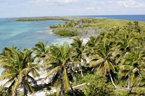 Mexican Prints: View of coastline, beach and palm trees, Isla Contoy N. P. Quintana Roo, Mexico, January