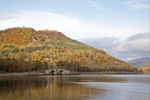 Fyne Prints: View of coastline with bridge and wooded hill at edge of sea loch