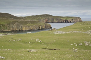 View of coastline and cliffs, Fair Isle, Shetland Islands, Scotland, June