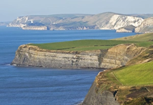 Chalk Prints: View of coastline with darker clays and white chalk cliffs