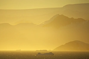 Antarctic Prints: View of coastline at dawn, Gerlache Strait, Antarctic Peninsula, Antarctica