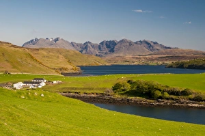 Skye Prints: View of coastline with farm buildings and sea loch