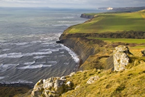 Wave Prints: View of coastline with farmland and rough sea from high cliff