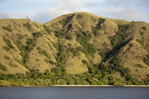 Hilly Prints: View of coastline and hills, Komodo N