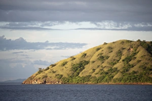 View of coastline and hills, Komodo N. P. Rinca Island, Lesser Sunda Islands, Indonesia, March