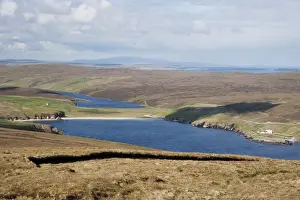 Shetland Prints: View of coastline, looking across Burra Firth from Hermaness Hill
